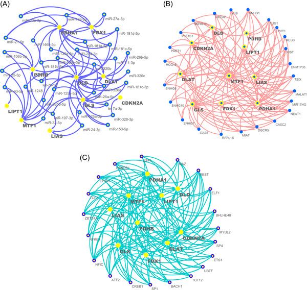 PMC10989956 – imt268-fig-0005