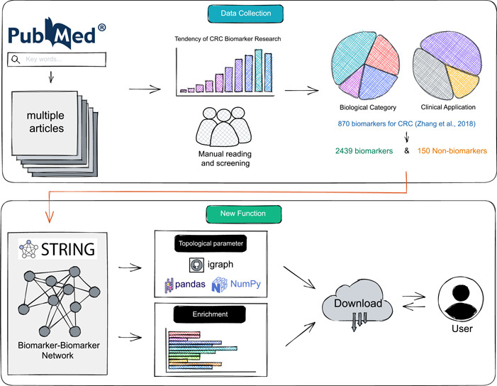 PMC10989088 – imt2155-fig-0001