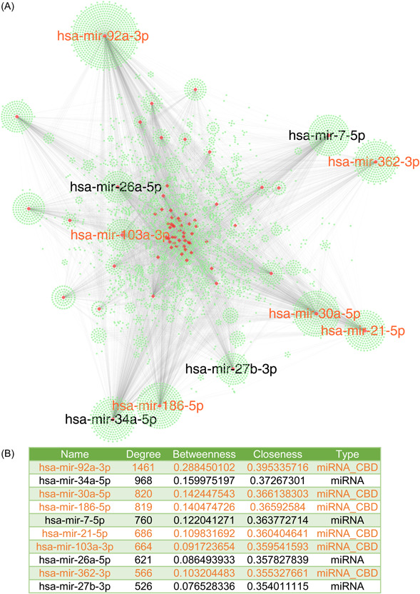 PMC10989088 – imt2155-fig-0004