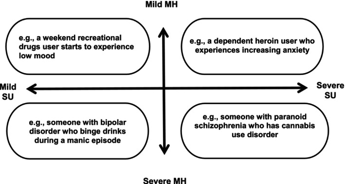 PMC12535280 – inm70129-fig-0001