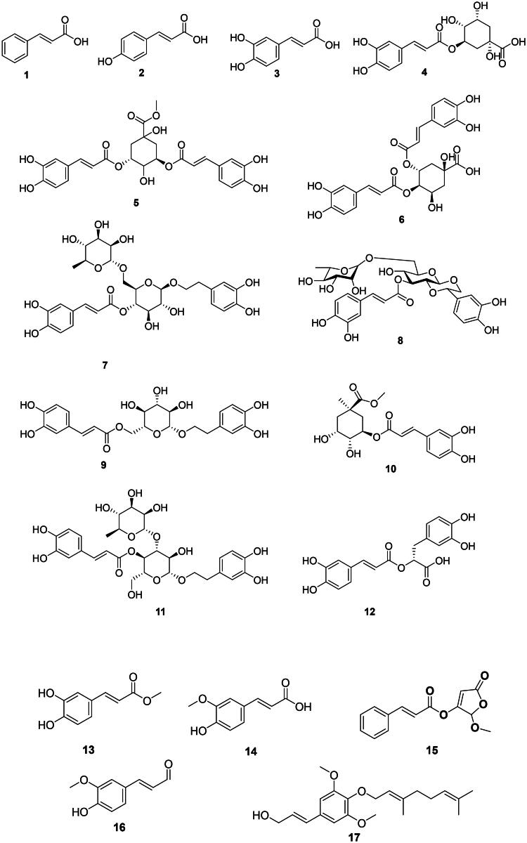 PMC11486068 – F0001