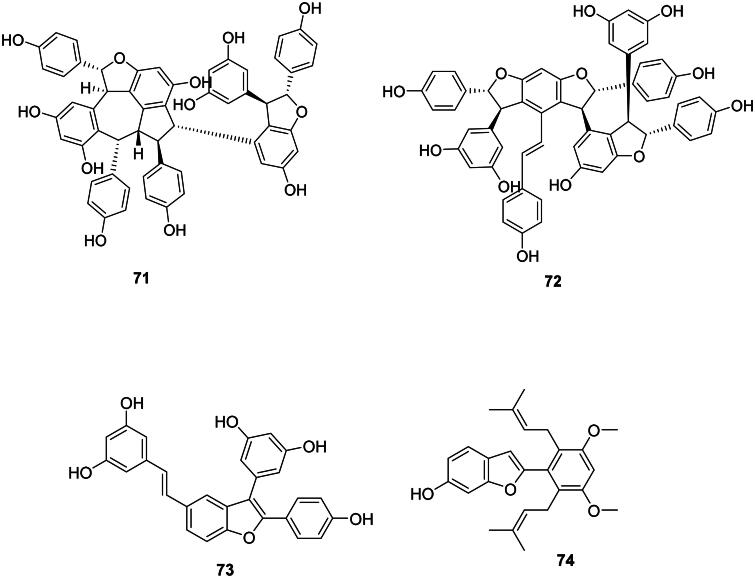 PMC11486068 – F0004b