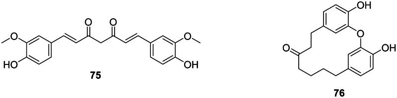 PMC11486068 – F0005