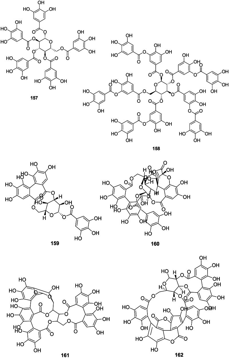 PMC11486068 – F0013b