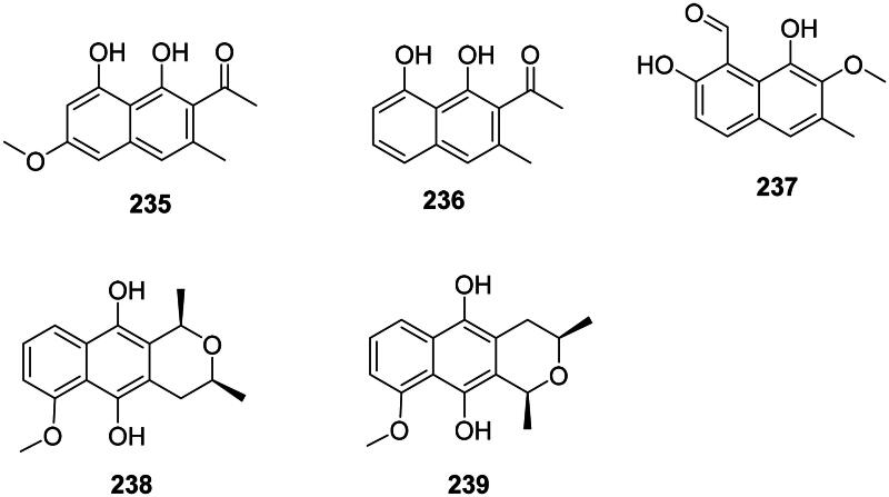 PMC11486068 – F0020