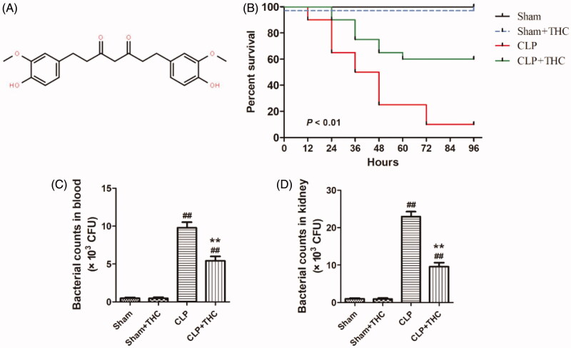 PMC8253188 – F0001