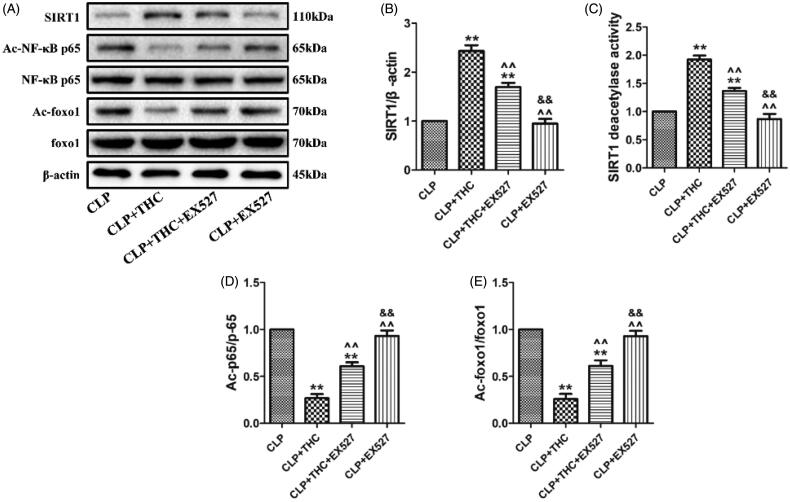 PMC8253188 – F0008