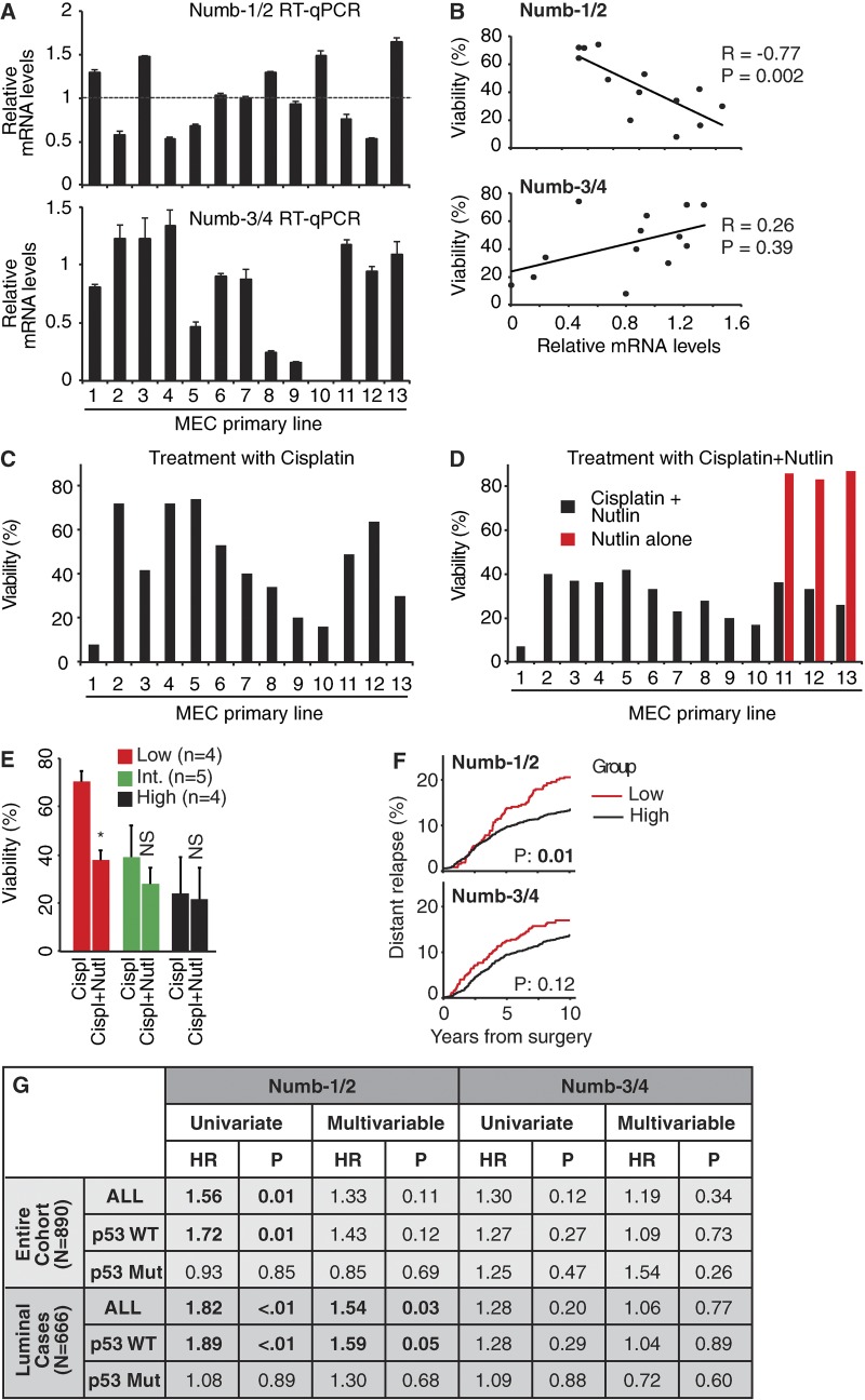PMC5800818 – fig10