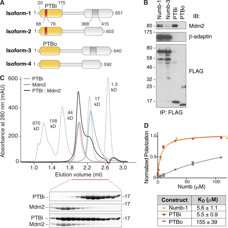 PMC5800818 – fig2