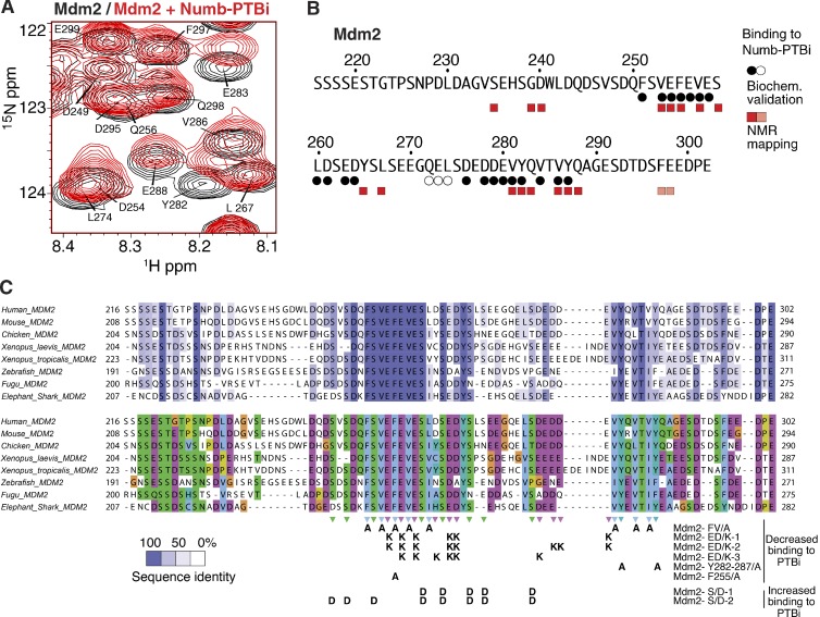 PMC5800818 – fig5