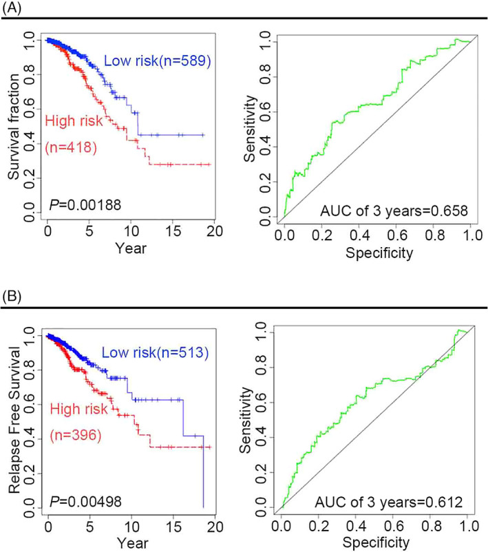 PMC9279975 – jcla24494-fig-0001