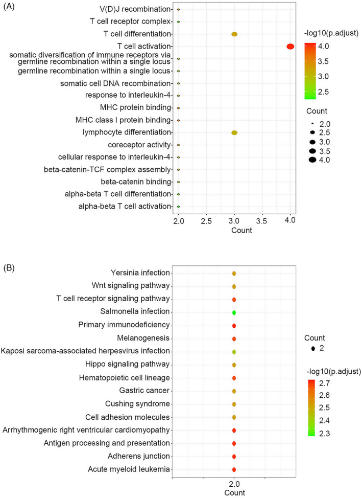 PMC9279975 – jcla24494-fig-0006