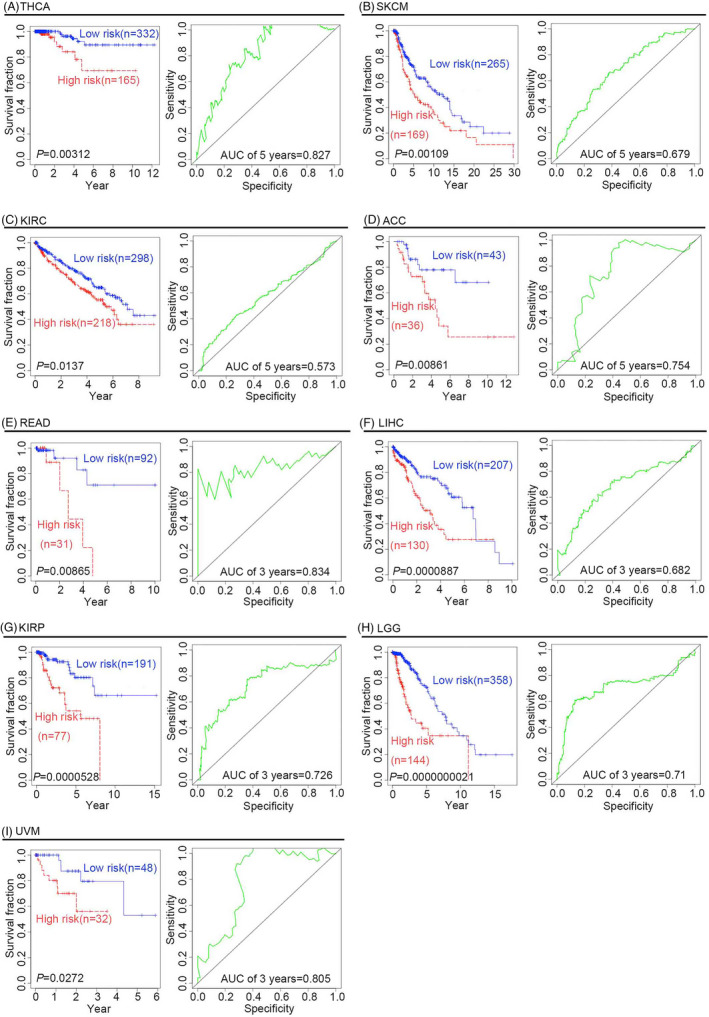 PMC9279975 – jcla24494-fig-0004