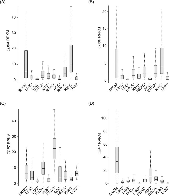 PMC9279975 – jcla24494-fig-0005