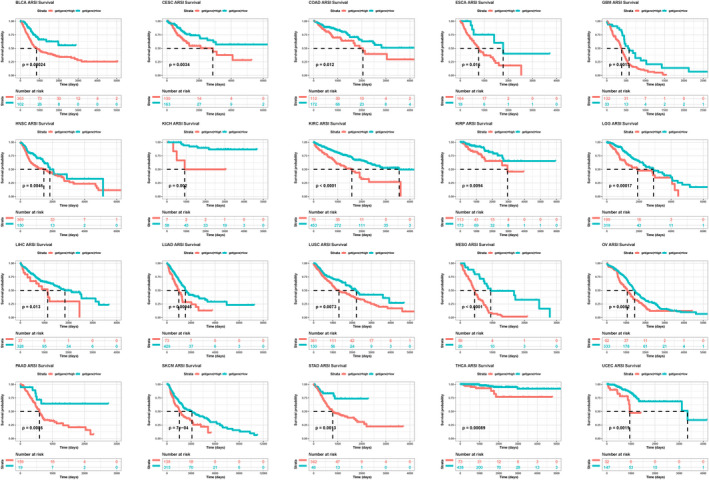 PMC9459304 – jcla24600-fig-0005
