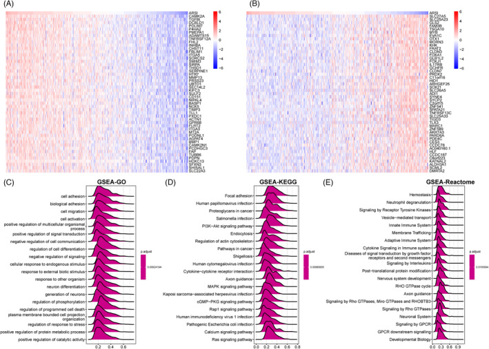 PMC9459304 – jcla24600-fig-0007