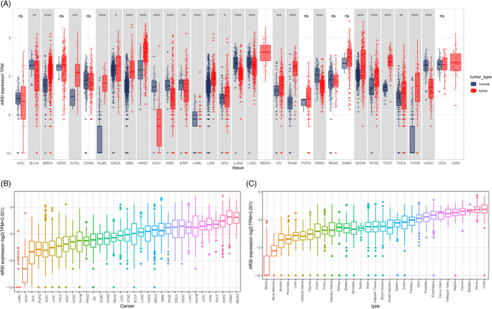 PMC9459304 – jcla24600-fig-0001