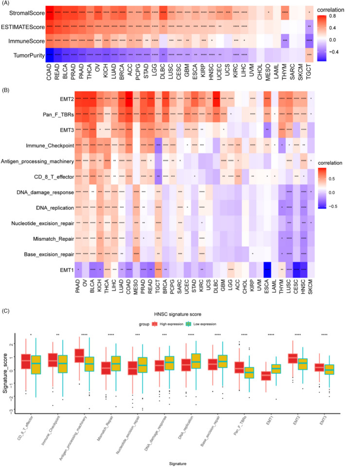 PMC9459304 – jcla24600-fig-0008