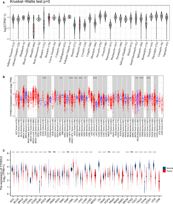 PMC8435423 – jcmm16818-fig-0001