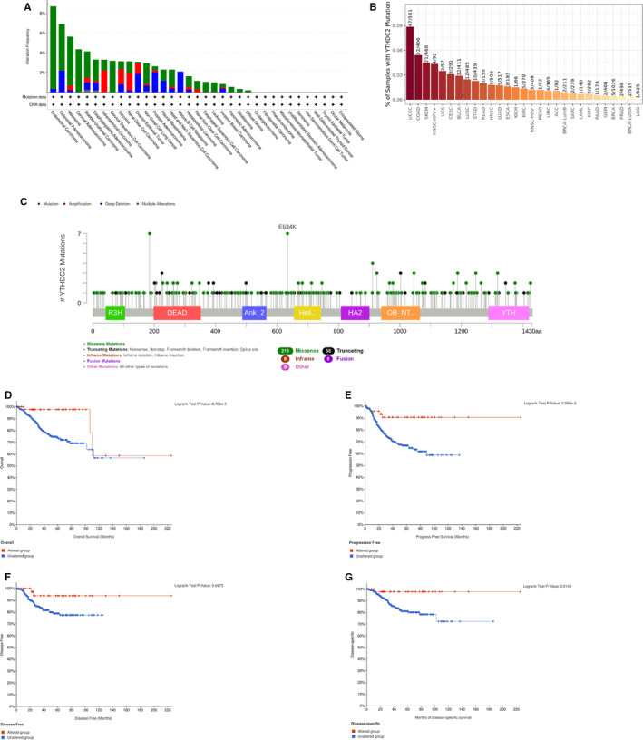 PMC8435423 – jcmm16818-fig-0002