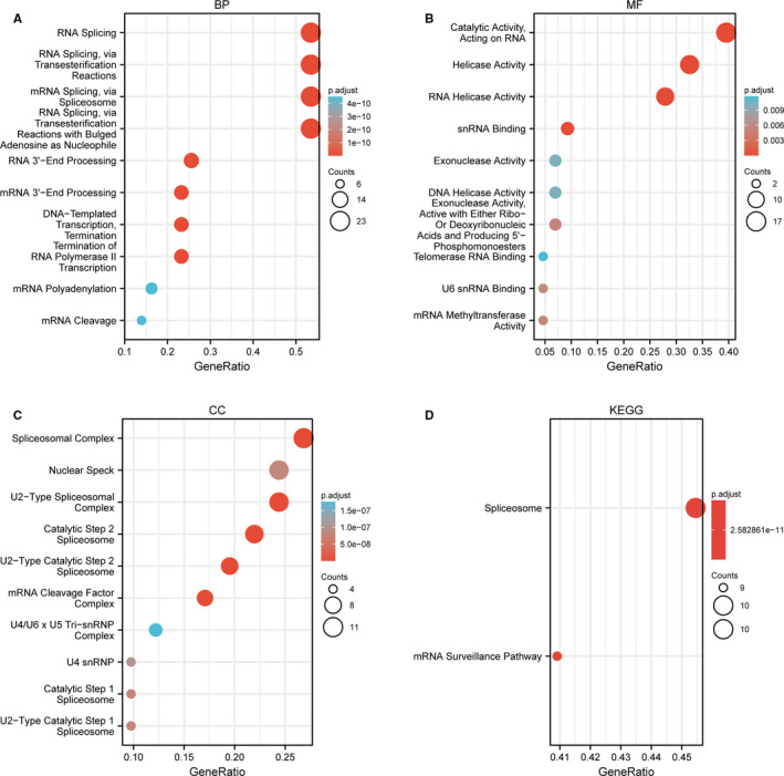 PMC8435423 – jcmm16818-fig-0004