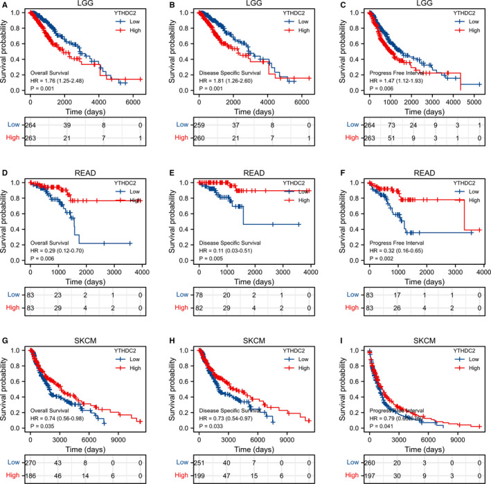 PMC8435423 – jcmm16818-fig-0007