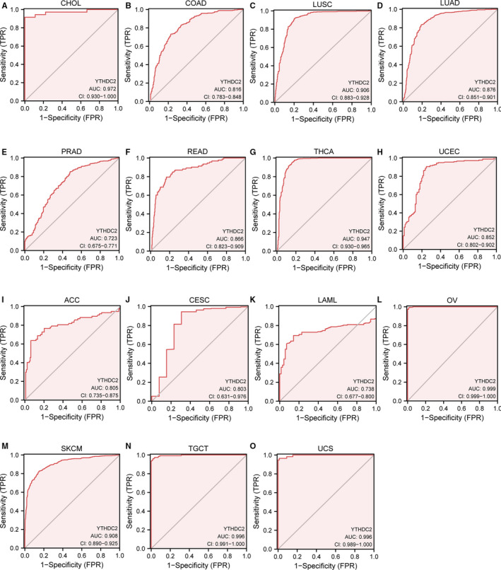 PMC8435423 – jcmm16818-fig-0006