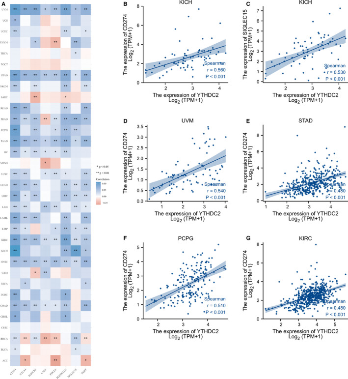 PMC8435423 – jcmm16818-fig-0005