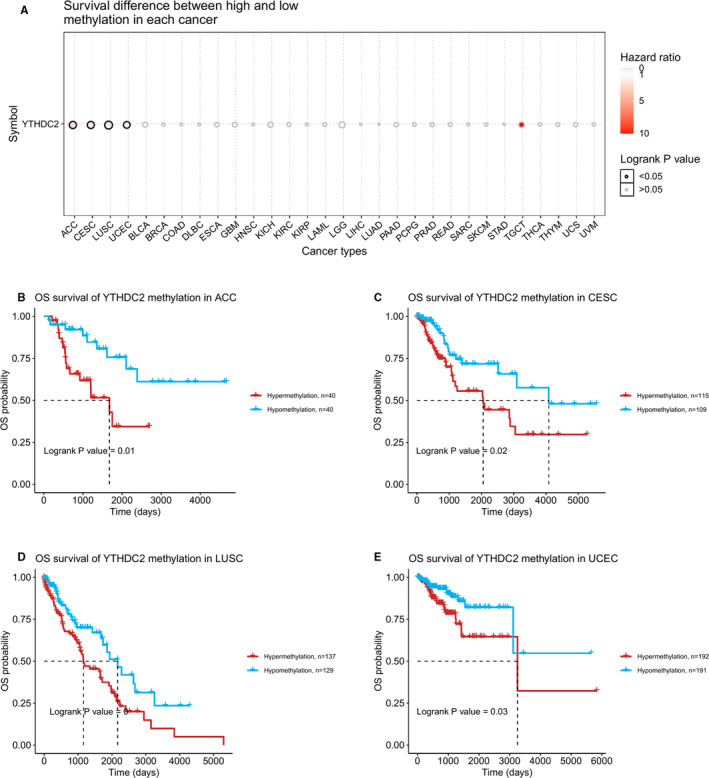 PMC8435423 – jcmm16818-fig-0003