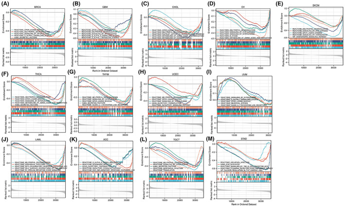 PMC9465192 – jcmm17517-fig-0007