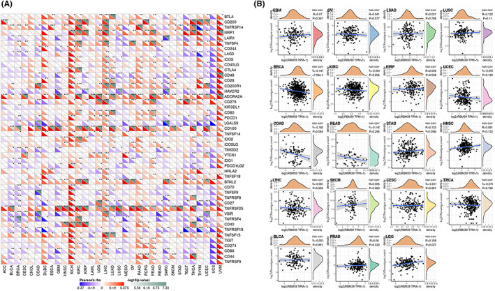 PMC9465192 – jcmm17517-fig-0005