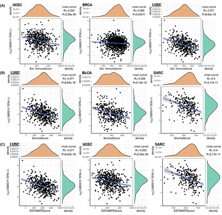 PMC9465192 – jcmm17517-fig-0004
