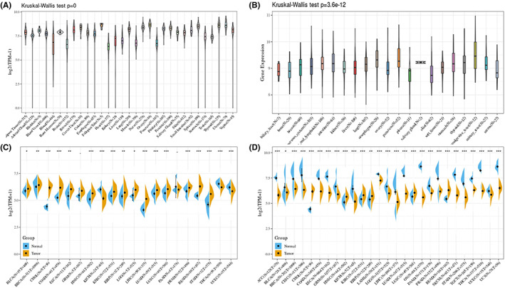 PMC9465192 – jcmm17517-fig-0001