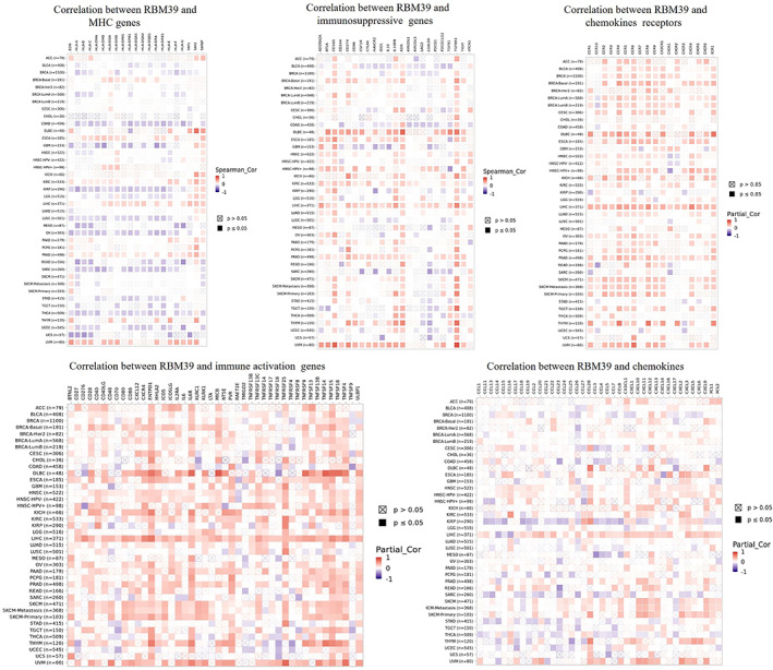 PMC9465192 – jcmm17517-fig-0006