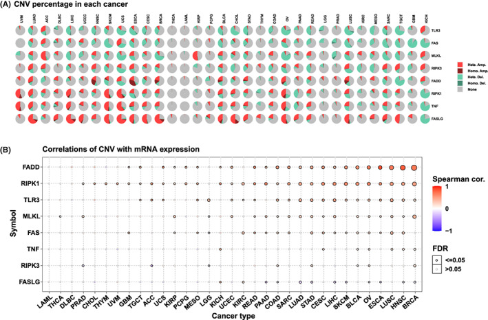 PMC9843528 – jcmm17634-fig-0004