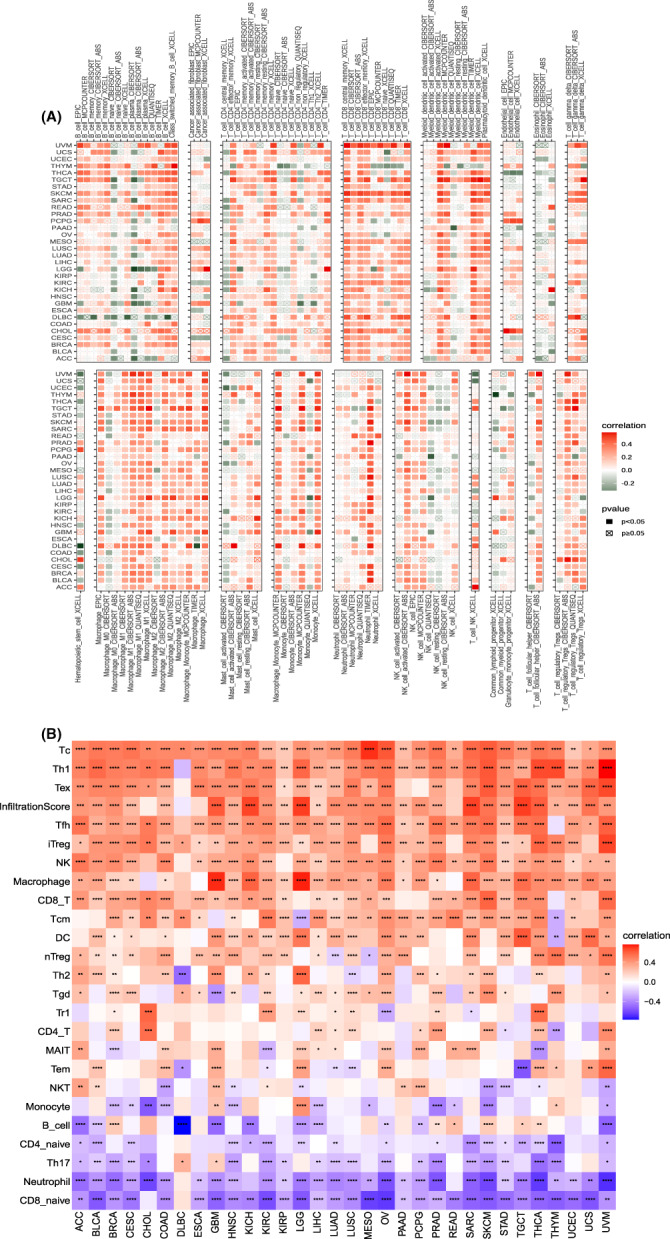 PMC9843528 – jcmm17634-fig-0010