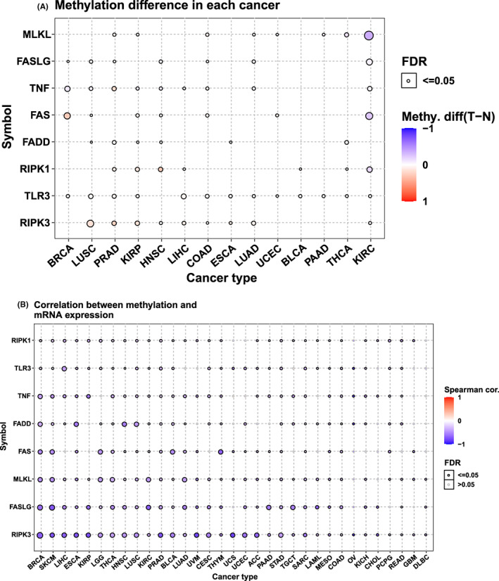 PMC9843528 – jcmm17634-fig-0005