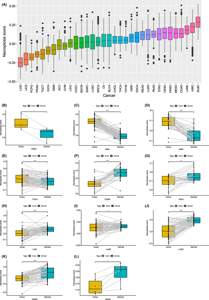 PMC9843528 – jcmm17634-fig-0006