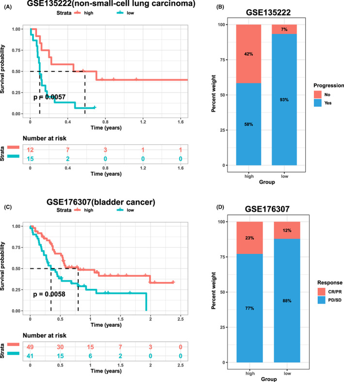 PMC9843528 – jcmm17634-fig-0013