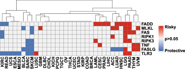 PMC9843528 – jcmm17634-fig-0002