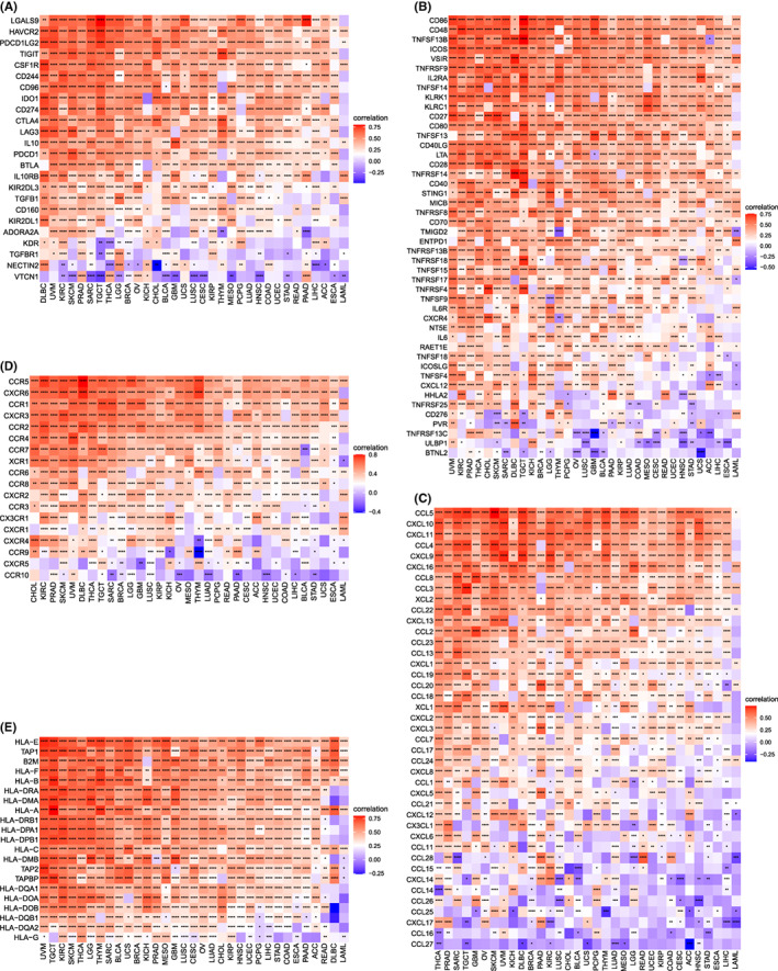 PMC9843528 – jcmm17634-fig-0011