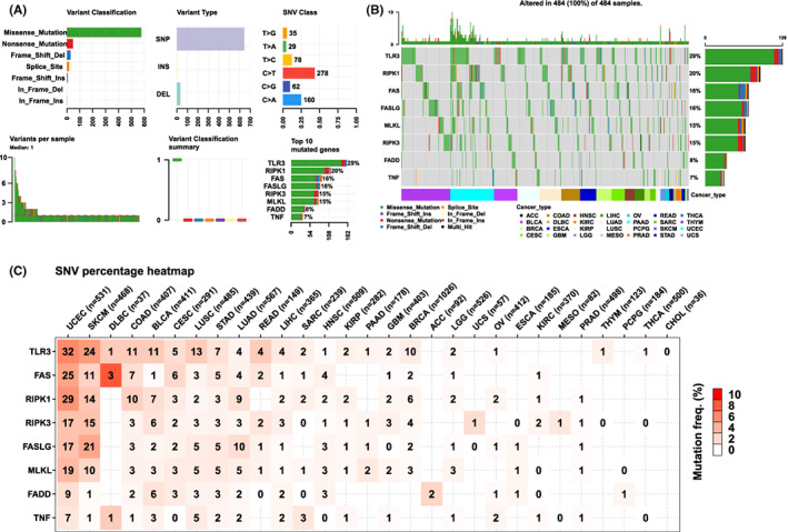 PMC9843528 – jcmm17634-fig-0003