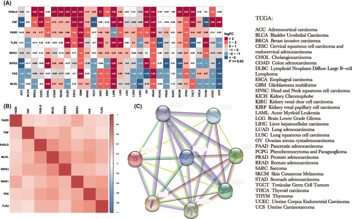 PMC9843528 – jcmm17634-fig-0001