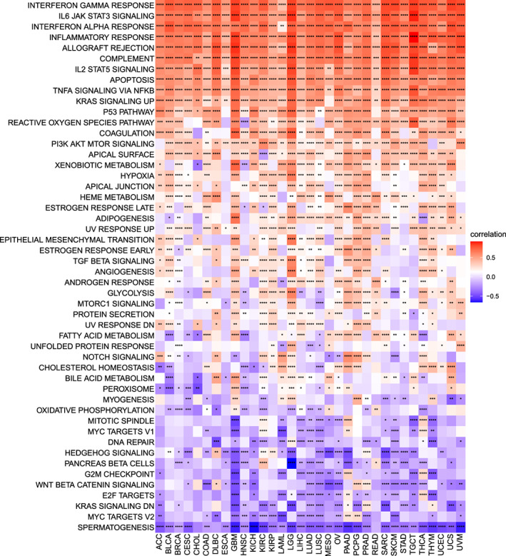 PMC9843528 – jcmm17634-fig-0008