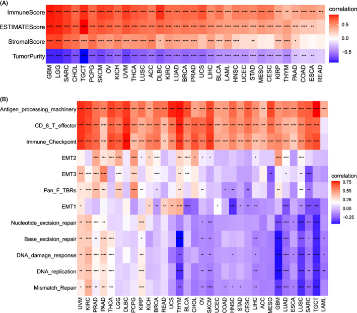 PMC9843528 – jcmm17634-fig-0009