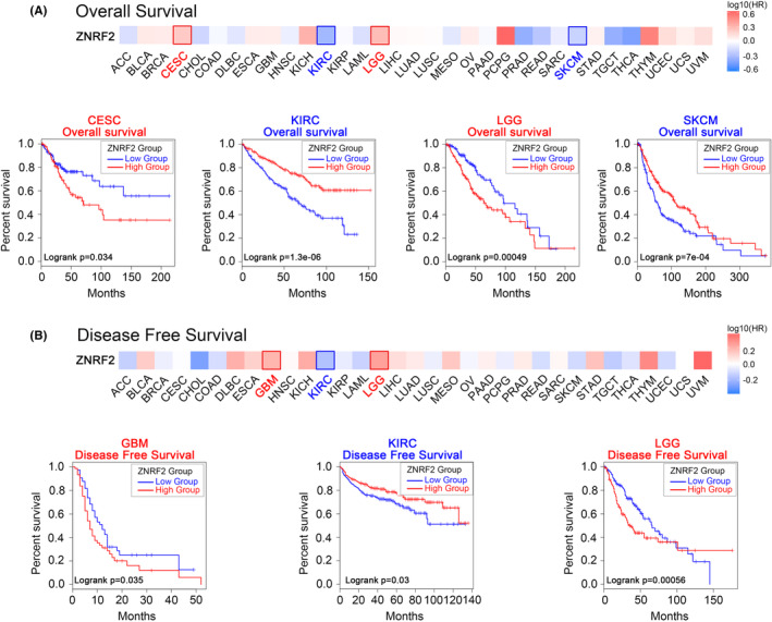 PMC10623518 – jcmm17900-fig-0003