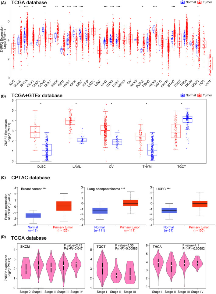 PMC10623518 – jcmm17900-fig-0001