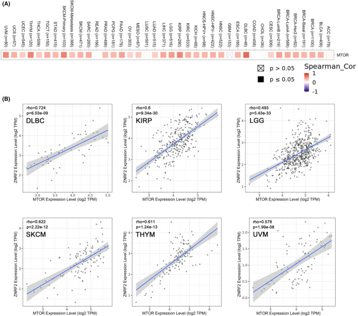 PMC10623518 – jcmm17900-fig-0008