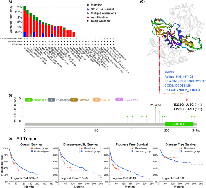 PMC10623518 – jcmm17900-fig-0004