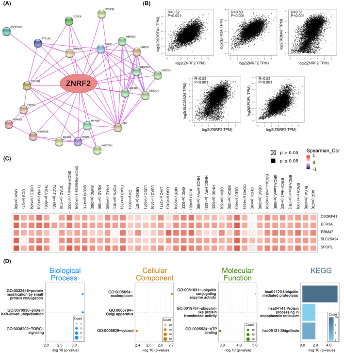 PMC10623518 – jcmm17900-fig-0007